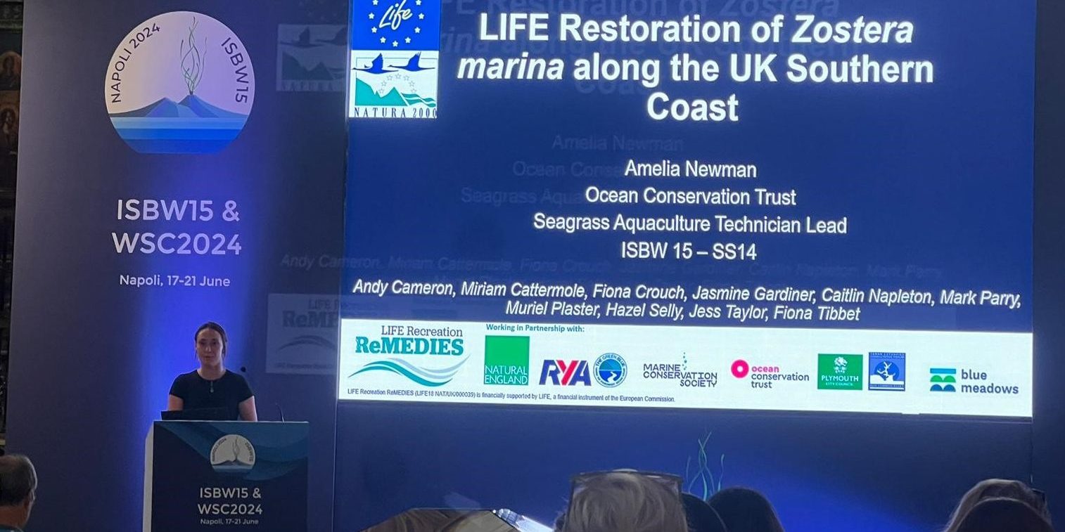 Amelia Newman, Ocean Conservation Trust presenting on ReMEDIES. Image credit: Ocean Conservation Trust